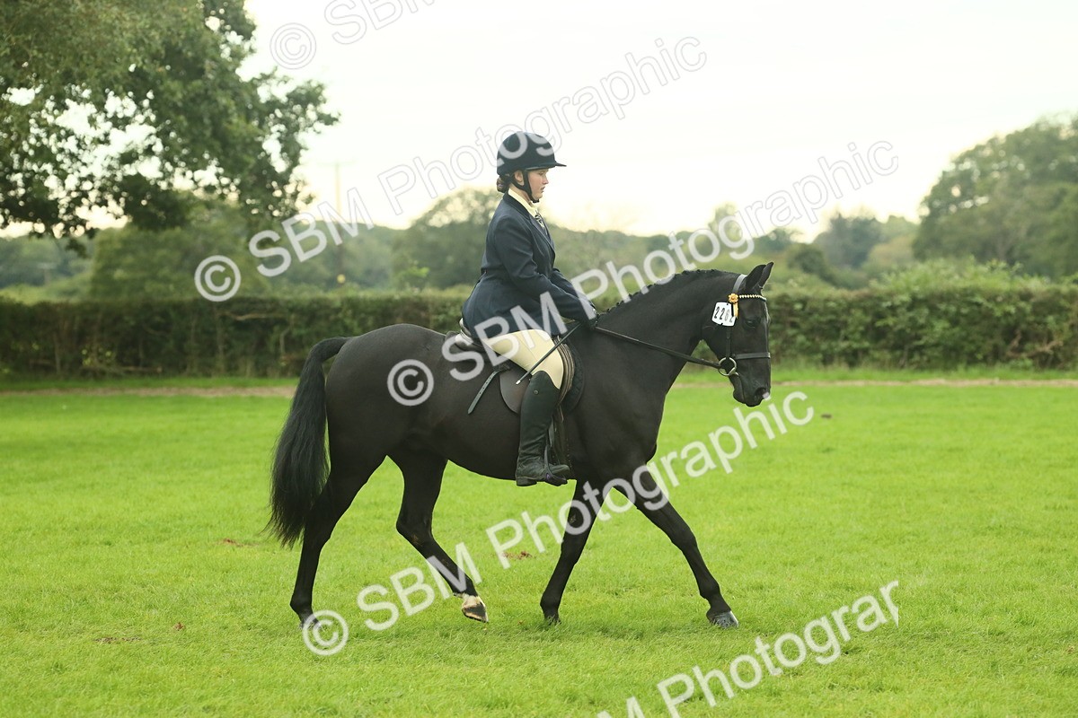 SBM_73924 - S 61 - Show Pony & Show Hunter Pony Ridden