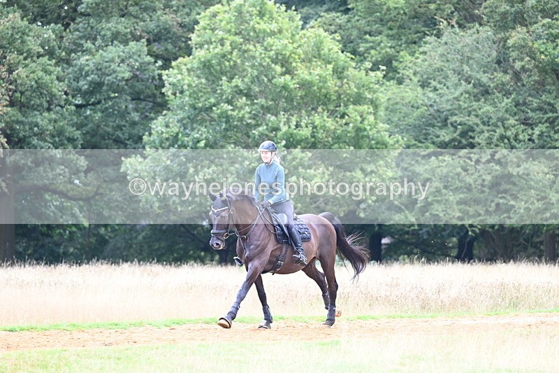 DSC_8412 - Time at Statue 13:52 to 14:33