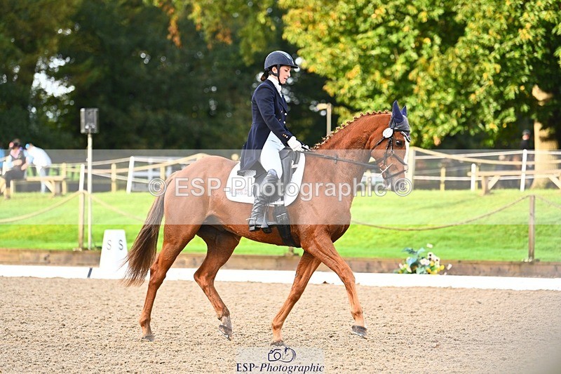 231021-090211-12742 - 322-BALLYBOLGER.LIONMAN-Sarah.Perry-DR