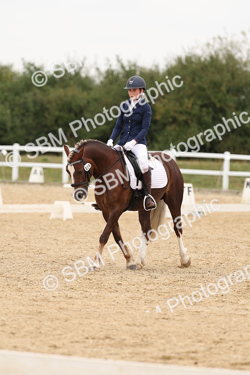 SBM_01063 - Class 8 - Novice 27 Champs