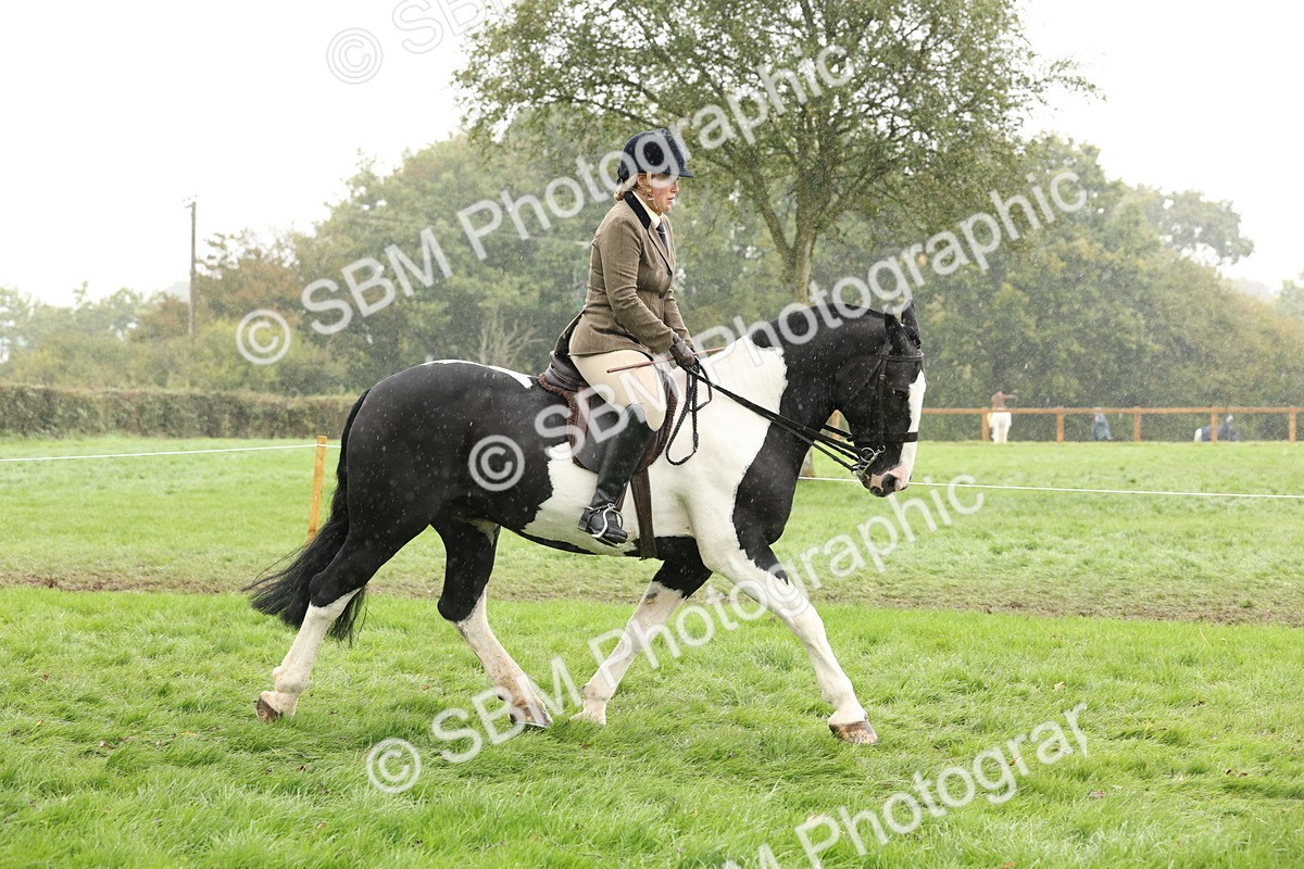SBM_69790 - S69 - Show Cob Ridden