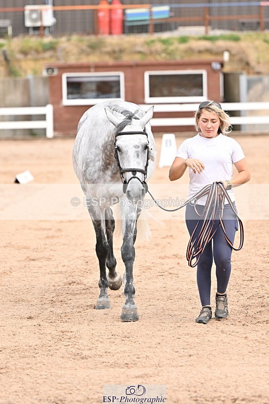 250716-150614-01620 - Trot Up 2.30 to 3.30