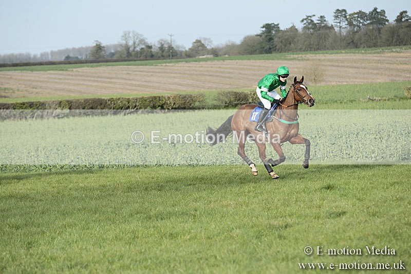PtP 230319 465 - VWH Hunt Siddington Point-to-Point Racing 23/03/19