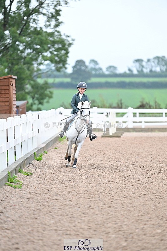 240908A-101337-02721 - Cls 17 Pony Intro 75cm