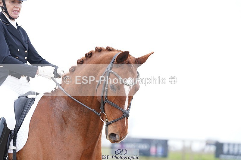 250403-155208-03190 - 009-Sarah.Stewart-Djoe.Dimaggio