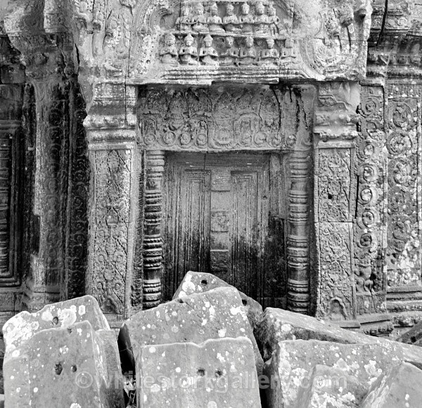 Ta Prohm, Cambodia - Asia