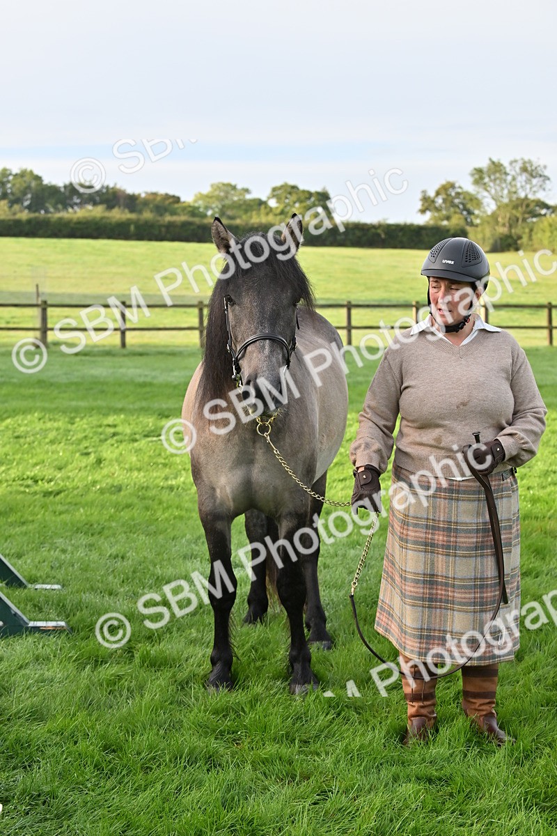SBM_55355 - S44 - Youngstock In Hand