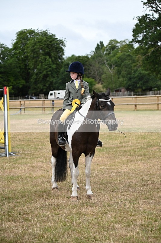 WJ6_4008 - Class 9 Tack & Turnout