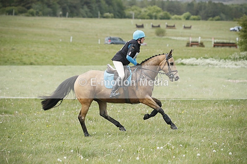 BVHT 140517  NXC -229 - Class 2 XC Novice 14/05/17