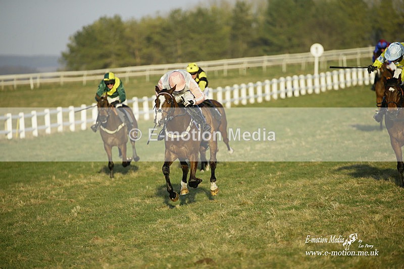 PtP 270222 696 - South & West Wilts Point-to-Point Larkhill 27/02/22