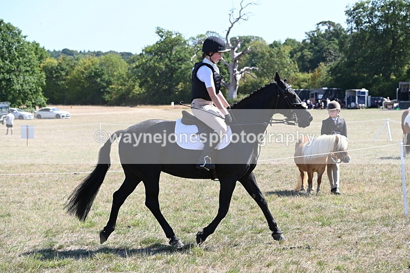 WJ6_8315 - Class 37a Best Loan Pony Ridden