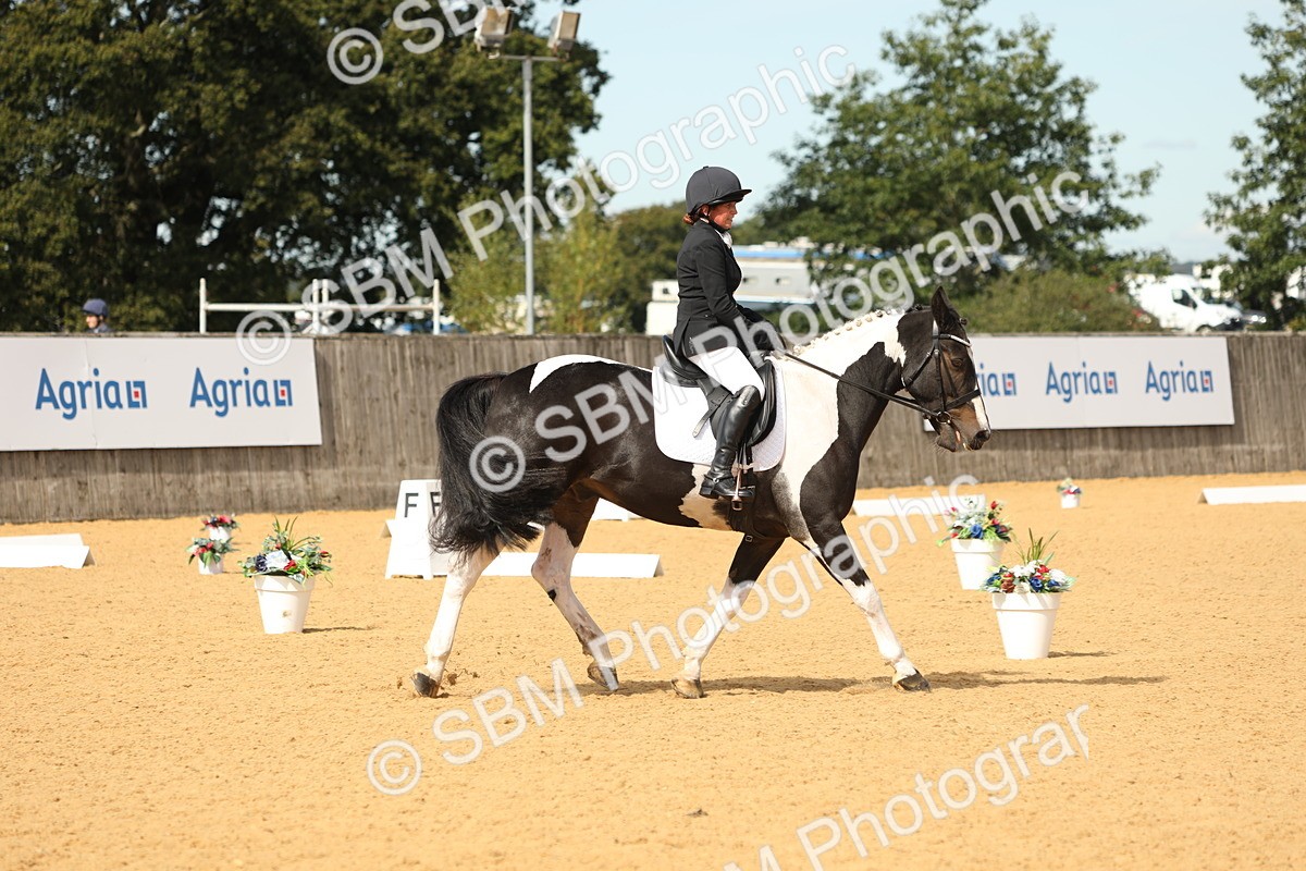SBM_22202 - D17 - Grand Tour Championship - Novice 27