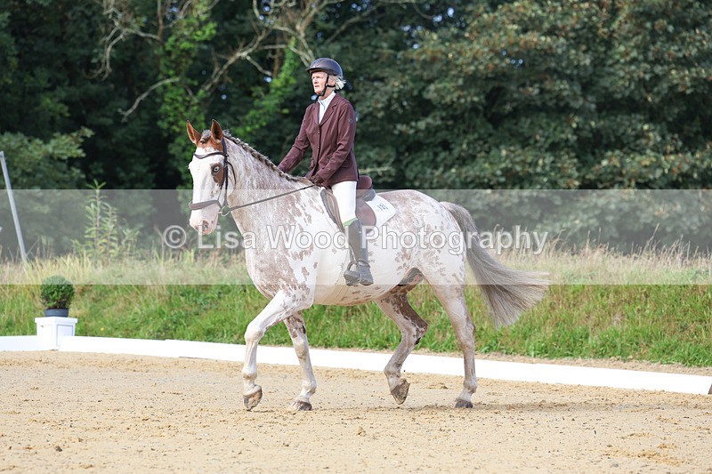 3E7A2359 - Class 1: Intro 4 2024 section A