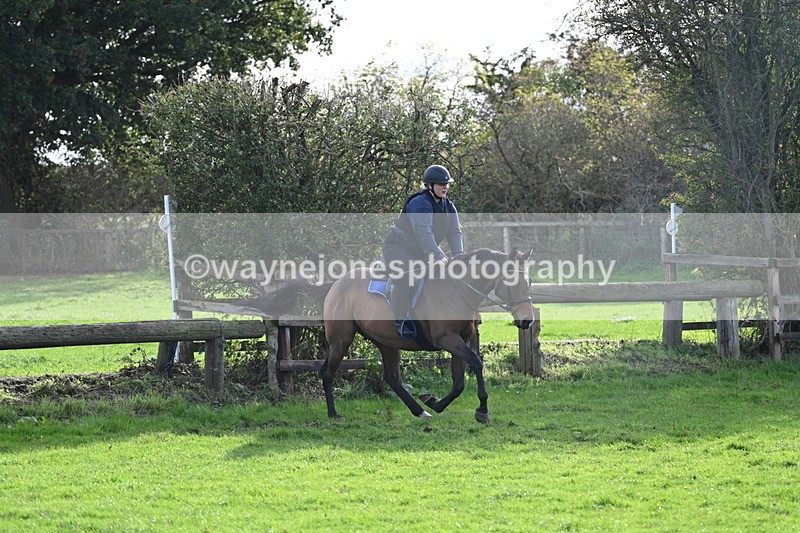 WJ7_0960 - Time 14:27 to 15:11