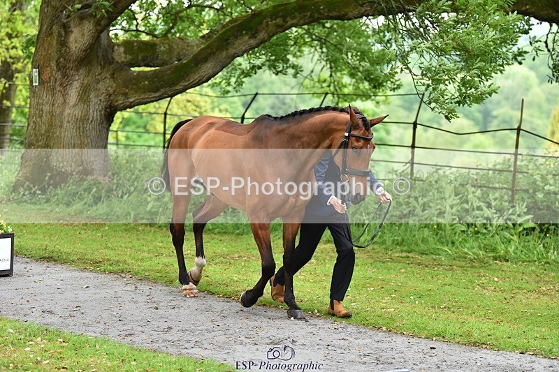 240522-160156-00660 - 115-THIS_ONES_ON_YOU-Joshua_Levett