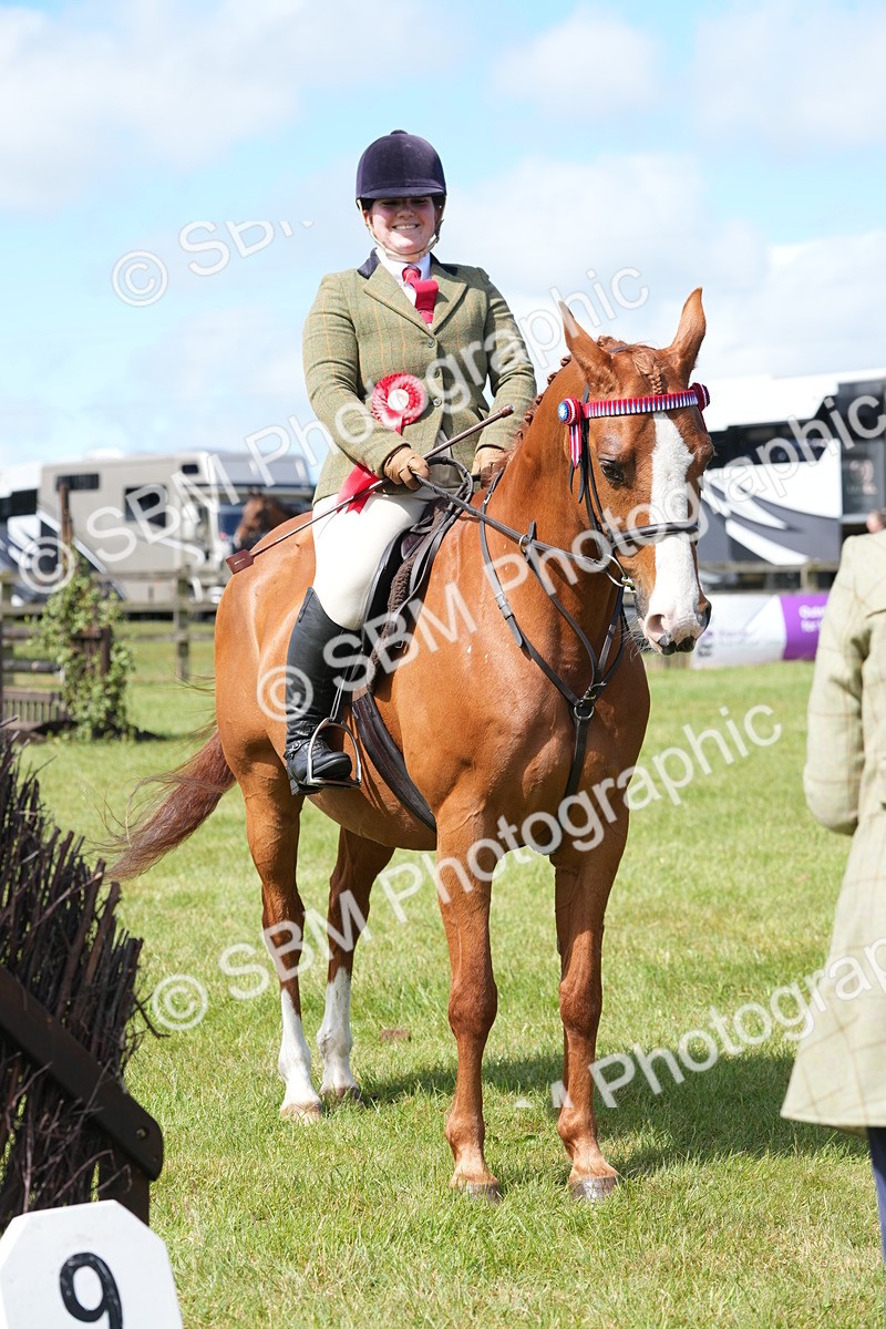 SBM_12967 - Class 99 - RIHS SEIB Working Show Horse