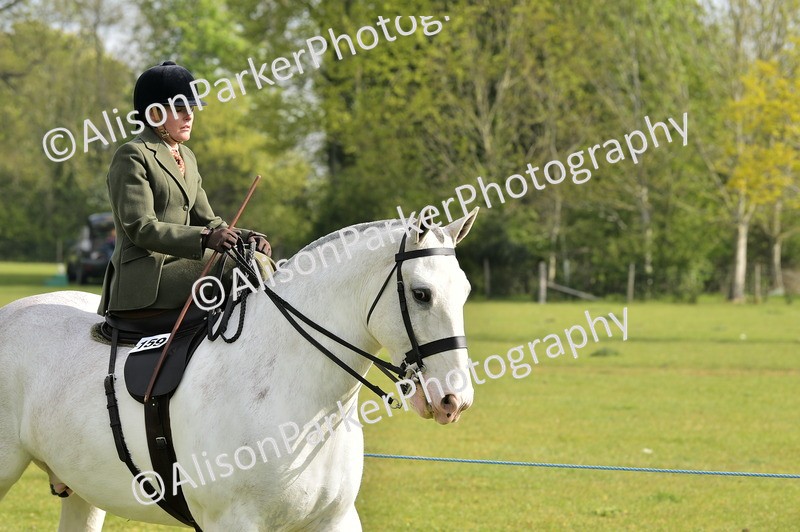 20260426-0852 - Class 18 - Novice Showing