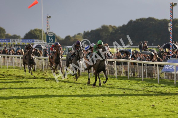 121024-Race 6-Gibside-7351 - Race 6 4.30pm Coral We're Here For It Stayers Handicap