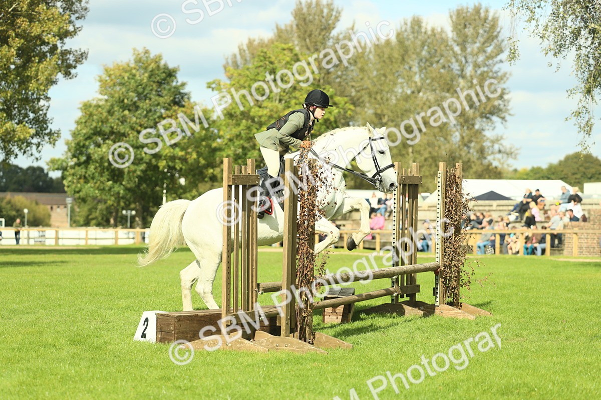 SBM_48032 - S32 - Novice & Newcomers Working Hunter