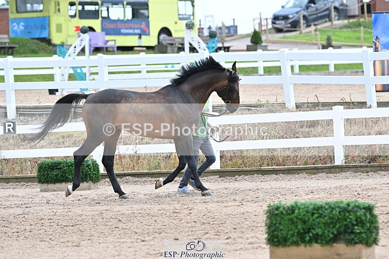 240717A-143110-02098 - Trot Up 2pm to 3pm - This folder is not in time order