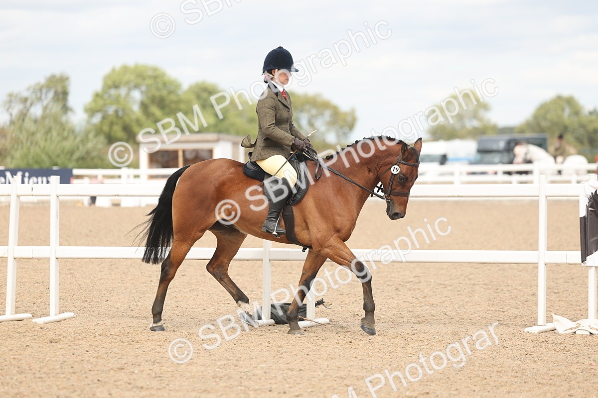 SBM_15956 - Class 311 - Ridden Show pony-Show hunter Pony
