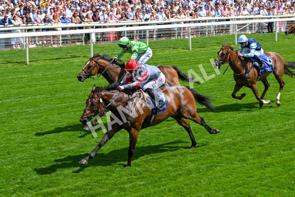 280625-Race 3-Squealer-0252 - Race 3 3.00pm Al Basti Equiworld Dubai Dash Handicap