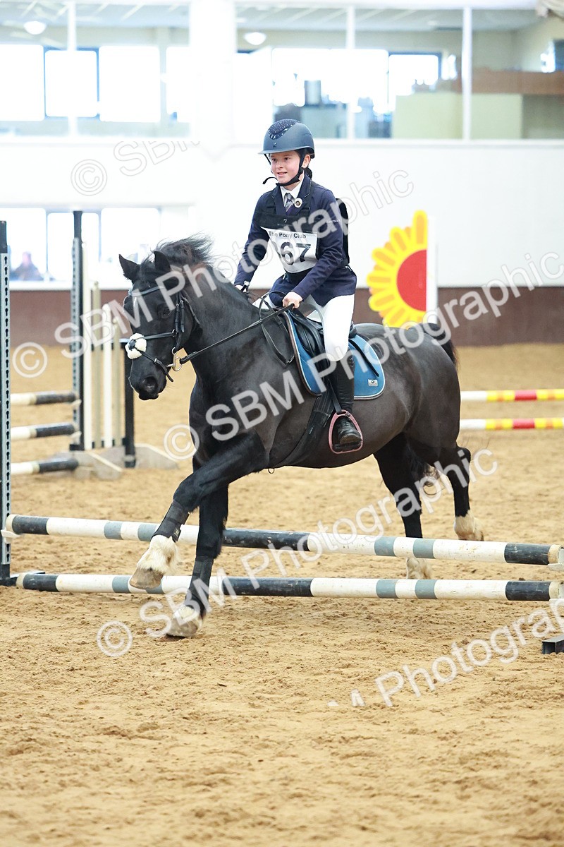 SBM_005758 - Class 2 - 50cm