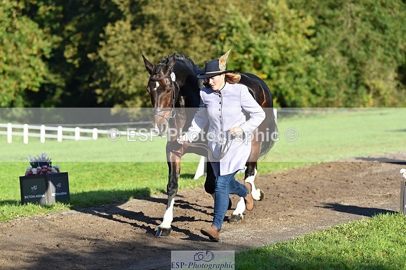 231022-100118-22185 - 475-ANDY.MAC-Hannah.COLMER-TrotUp+SJ