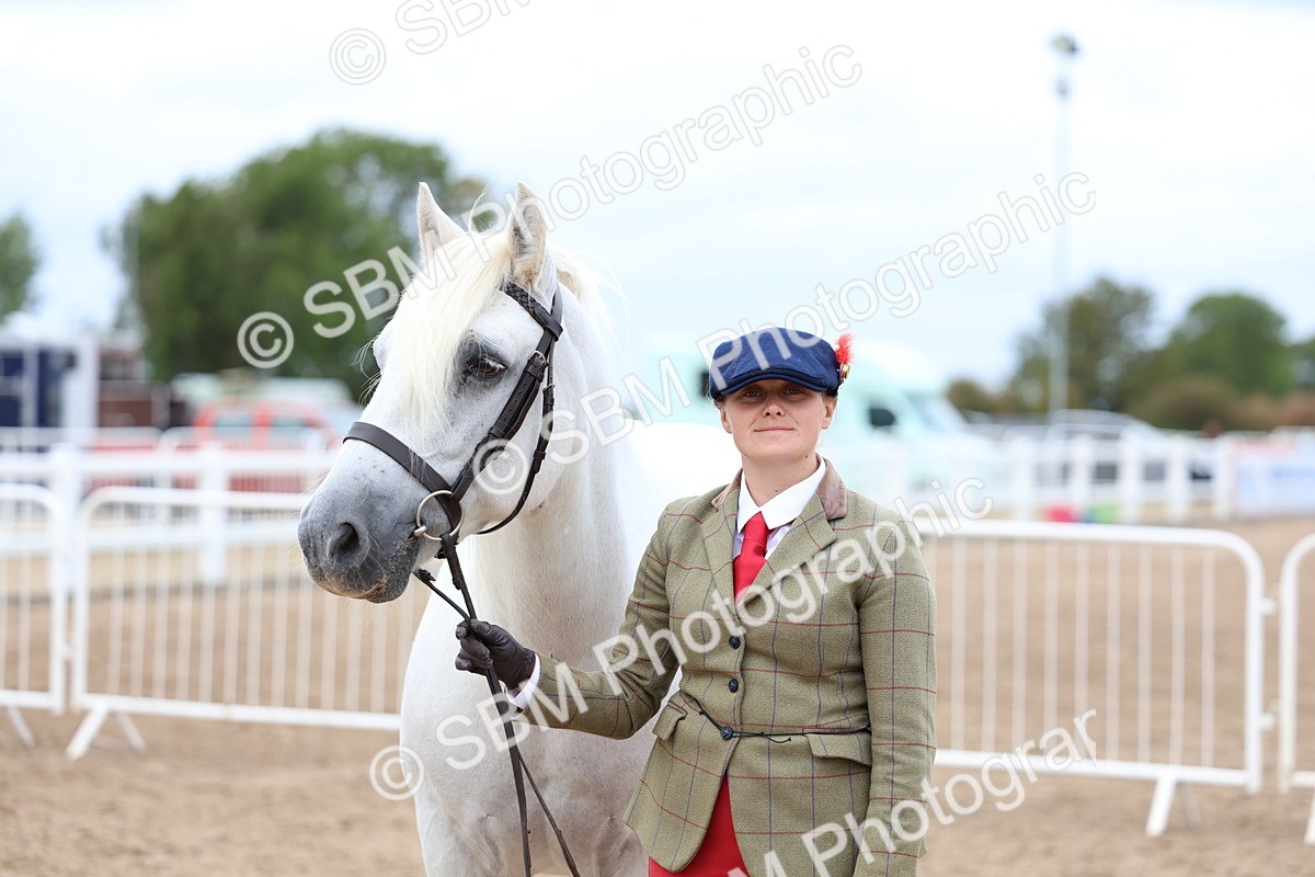 SBM_05909 - Class 29 - IH Veteran Pony