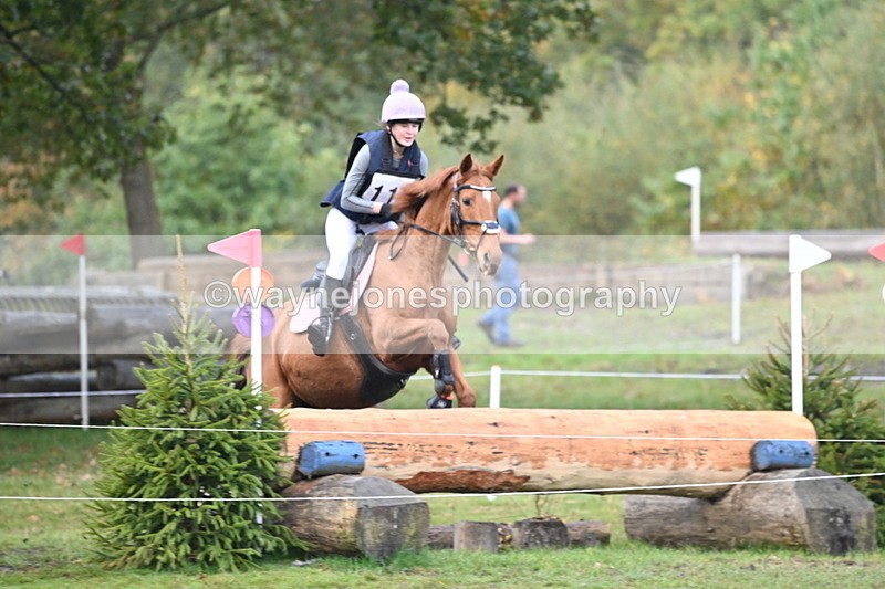 WJ6_1882 - 80cm Cam 1 Time 10:08 to 10:45