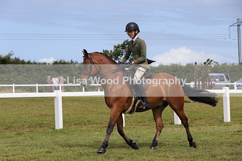 1X9A4006 - Class 32: Show Hunter Pony 153cm and under
