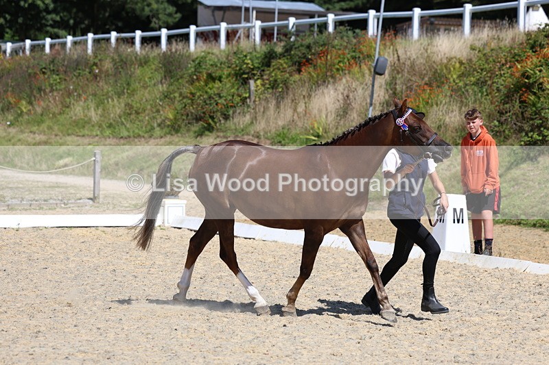 3E7A9581 - Class 32: Best Grass Kept