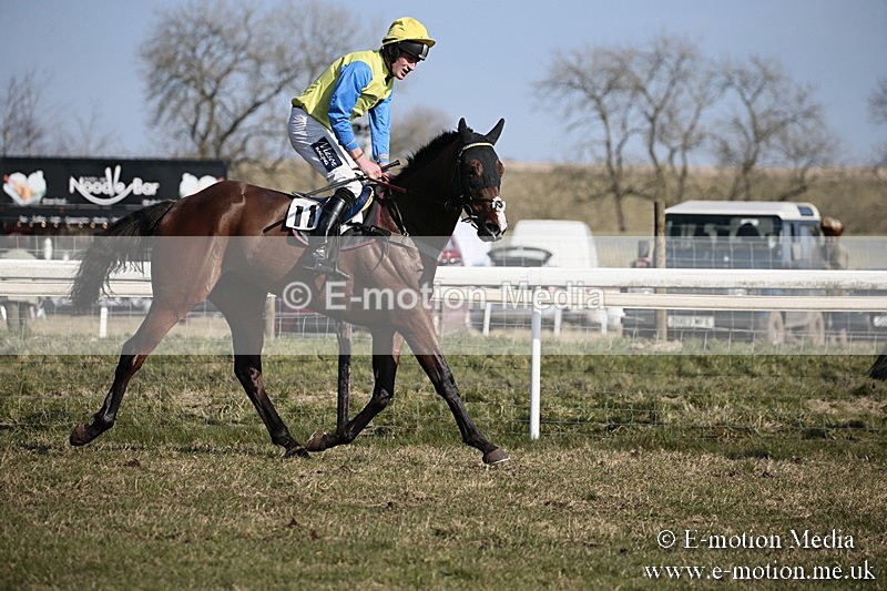PtP 240218 185 - Vine & Craven Hunt Point-to-Point Barbury racecourse 24/02/18