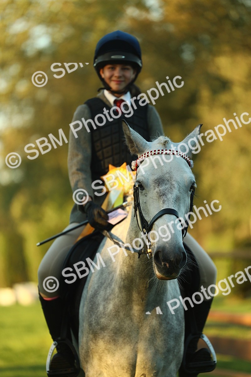 SBM_56539 - S14 - Riding Club Horse