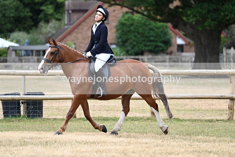 WJ7_0542 - Class 2 Best rider