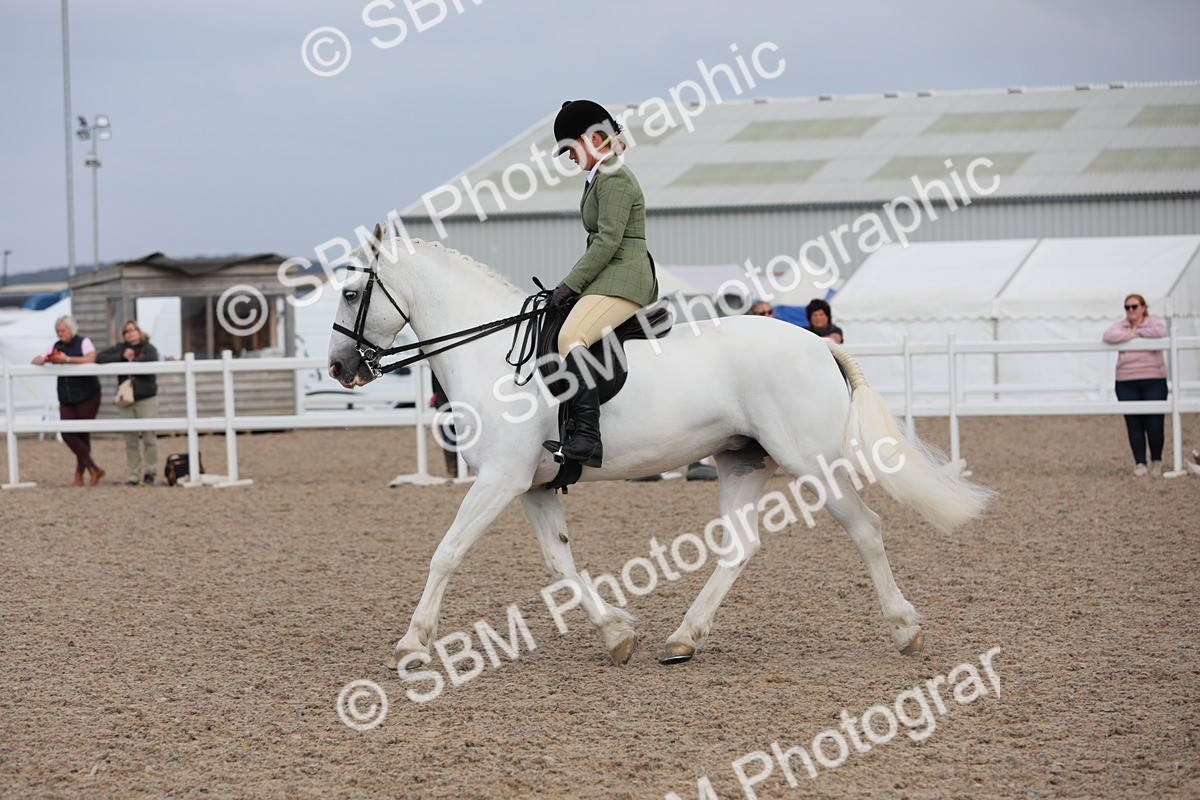 SBM_17793 - Class 315 Best Horse/Rider Combination