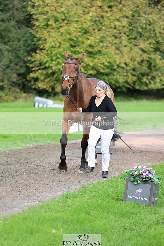 251026A-114905-25698 - G-514-Carolyn.Price With Trot Up