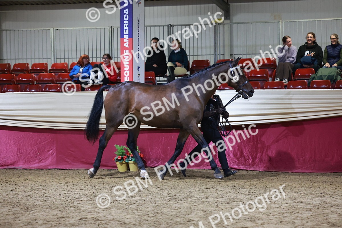 SBM_21525 - Class V - Champion of Champions