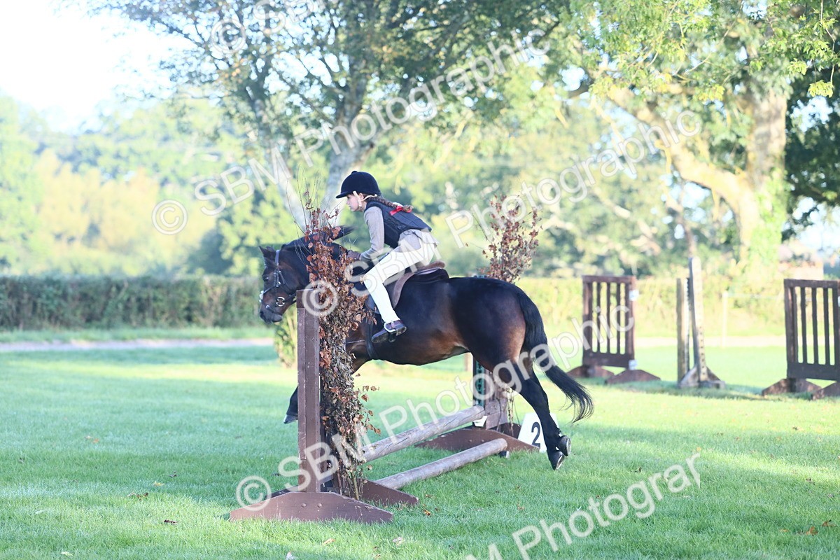 SBM_37317 - S29 - Novice & Newcomers Working Hunter Pony