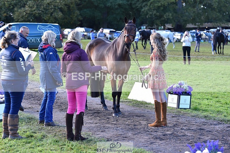 231022-111924-23889 - 552-MONBEG.BY.MAGIC-Xanthe.Baylis-TrotUp+SJ