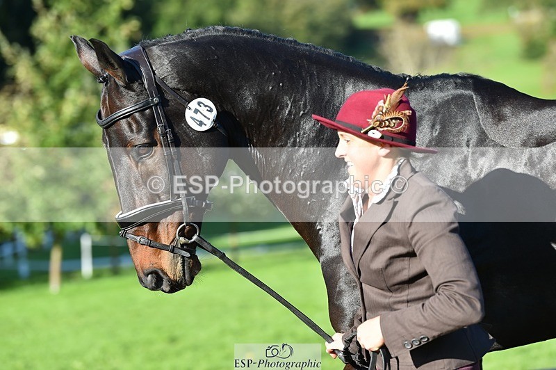 231022-105332-23570 - 473-COUNTING.STARS-Victoria.Newitt-TrotUp+SJ