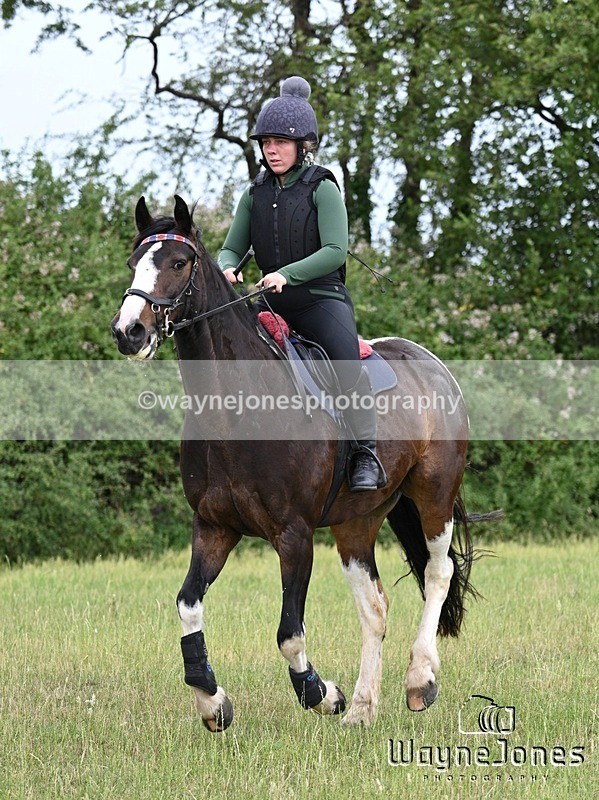 WJ7_8574 - Kellie Jade Ellie XC training with Kelly Harris 28-06-26