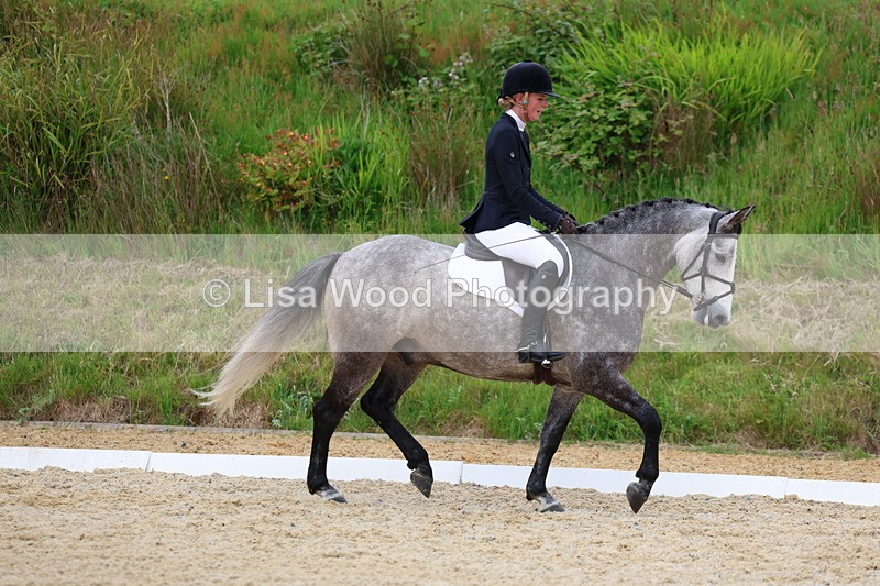 3E7A1706 - Class 2: Intro 2 2024 Section B