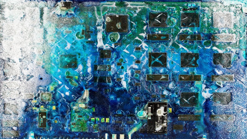 EXCHANGE XXXl - EXCHANGE 2021