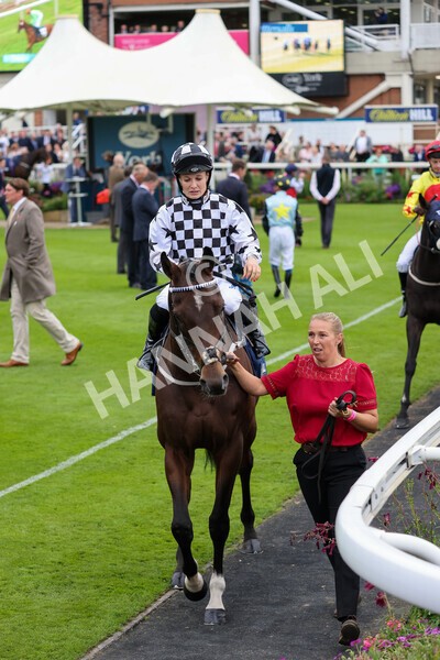 yr24092021r3-9 - Race 3 2.40pm WilliamHill.com Best Odds Guaranteed Stakes