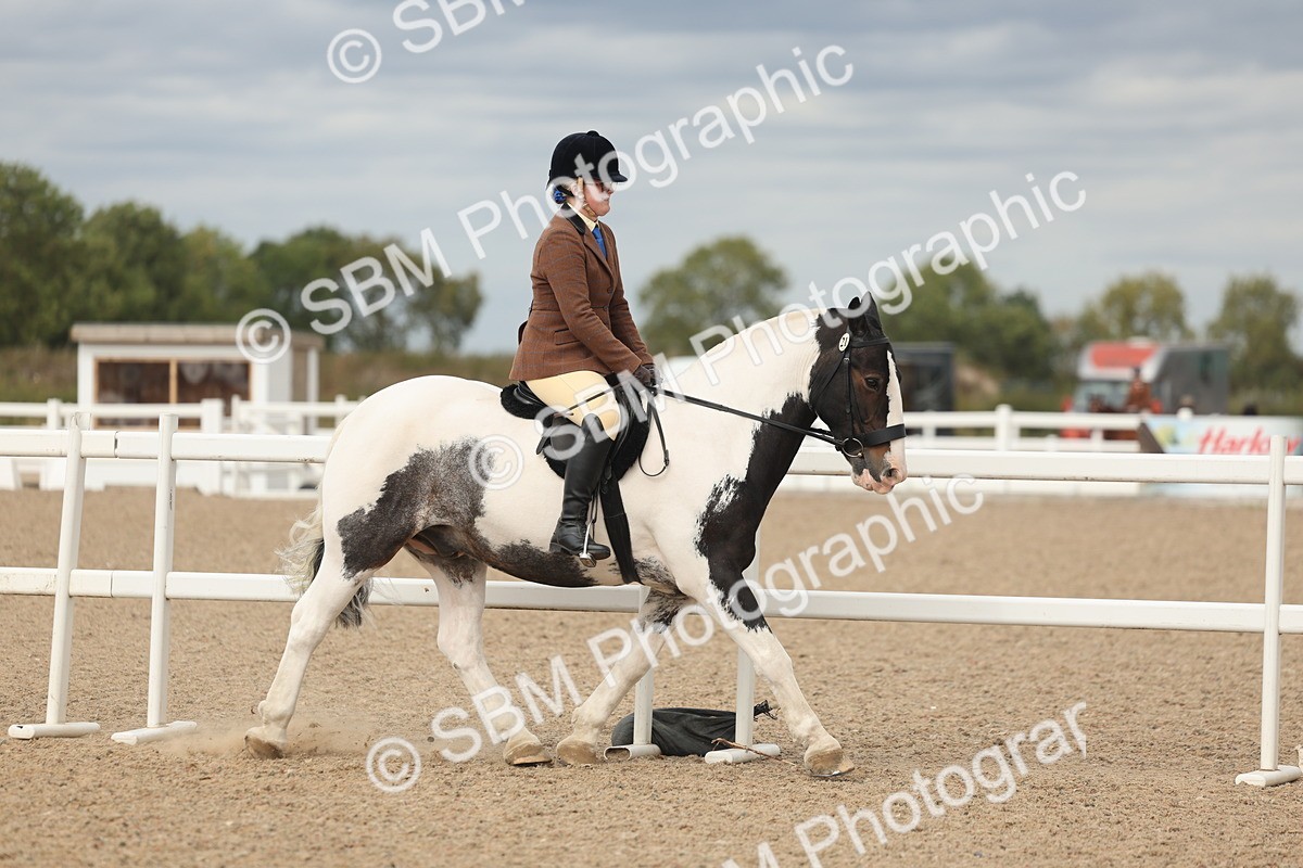 SBM_17985 - Class 314 - Family Horse Pony