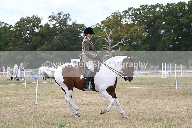 WJ7_5653 - Class 12 Ridden Cob