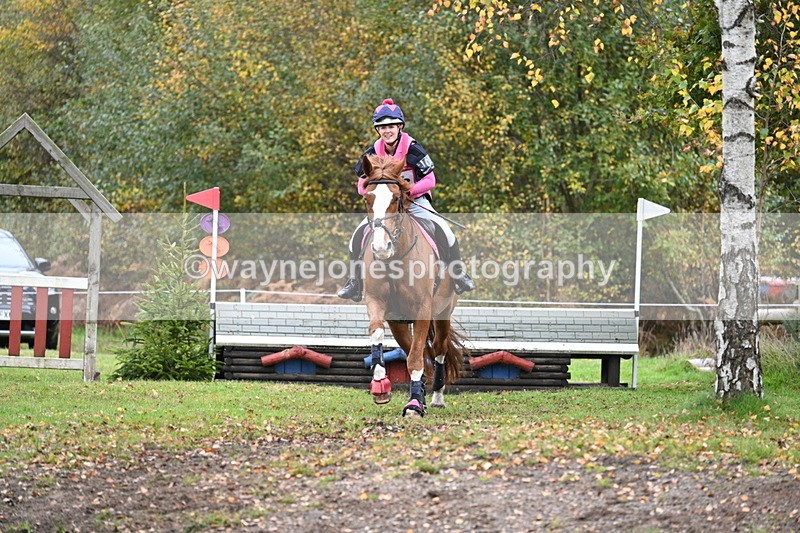 WJ7_3843 - 90cm Cam 2 Water Time 14:09 to 14:30