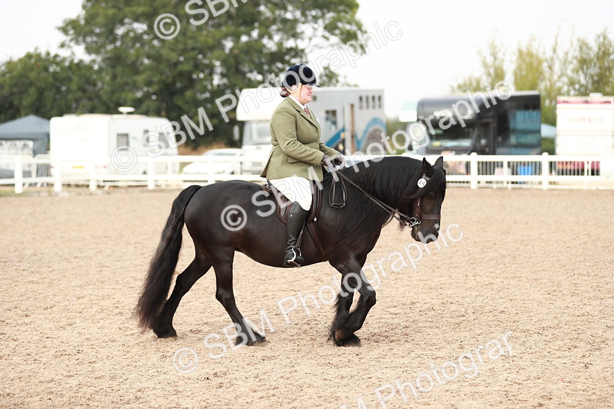 SBM_09404 - Class 202 Best Turned Out Ridden