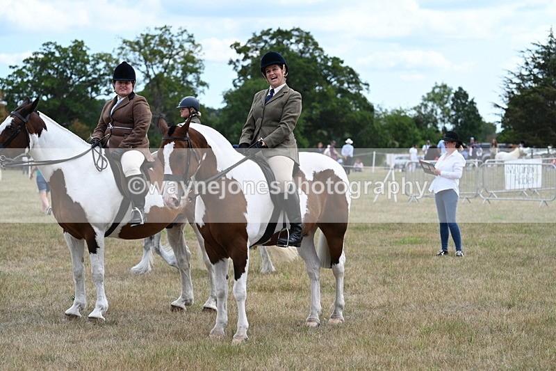 WJ7_5464 - Class 12 Ridden Cob